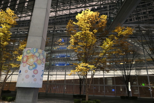 d0193569_08474471.jpg