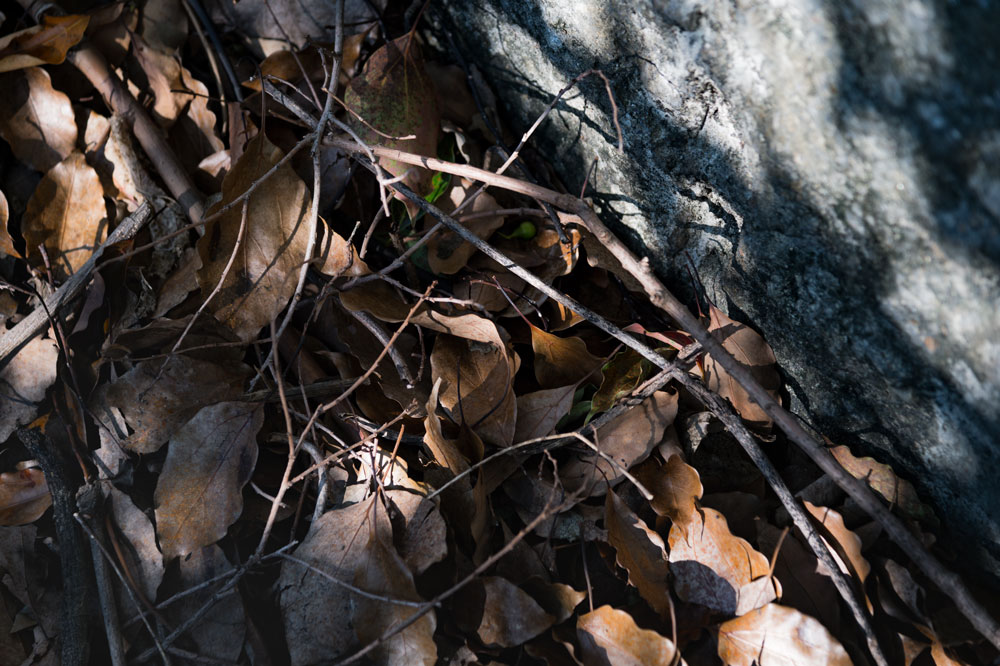 c0108673_18141417.jpg
