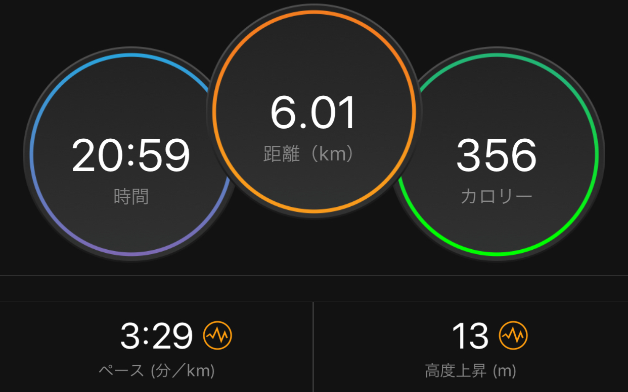 ターサージール5で閾値走_f0310282_09482991.jpeg