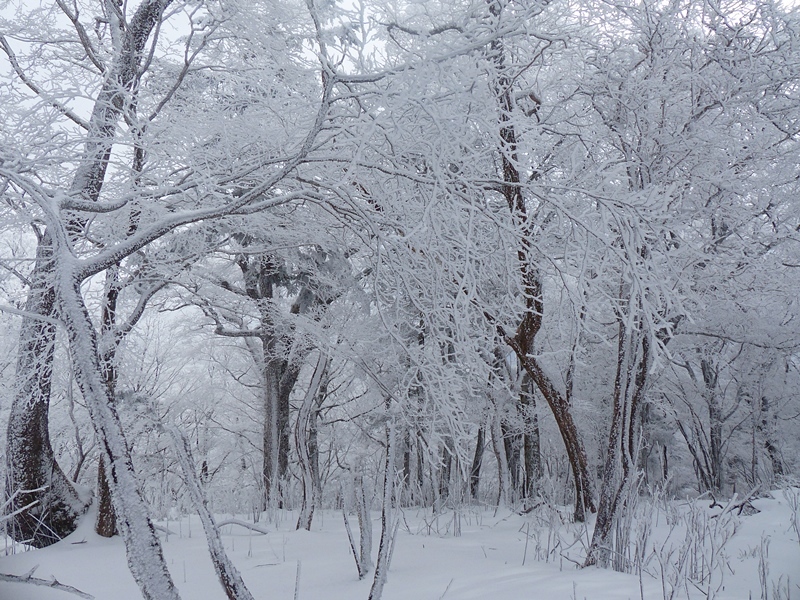 f0357487_00533845.jpg