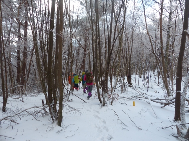 f0357487_01212518.jpg