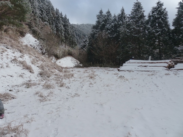 f0357487_01224354.jpg