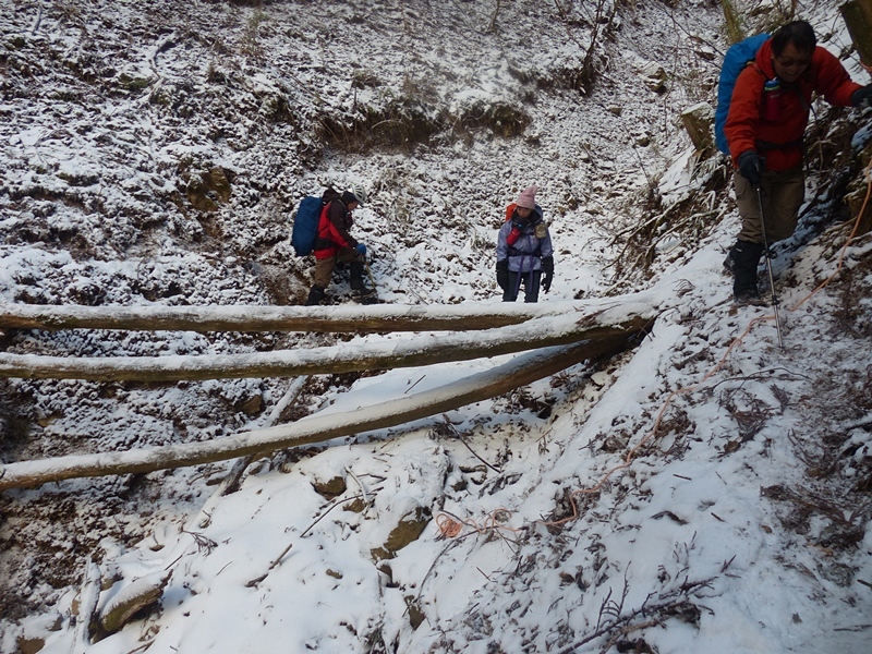 f0357487_01293797.jpg