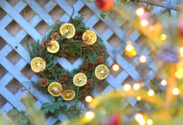 庭の植物でクリスマスリース　　Handmade Christmas Wreath made of My Garden Plants_d0025294_19065532.jpg