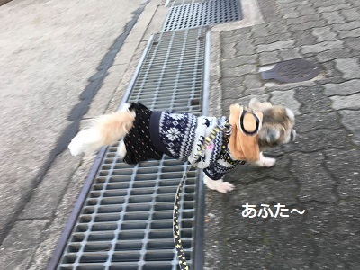 f0372998_22013169.jpg
