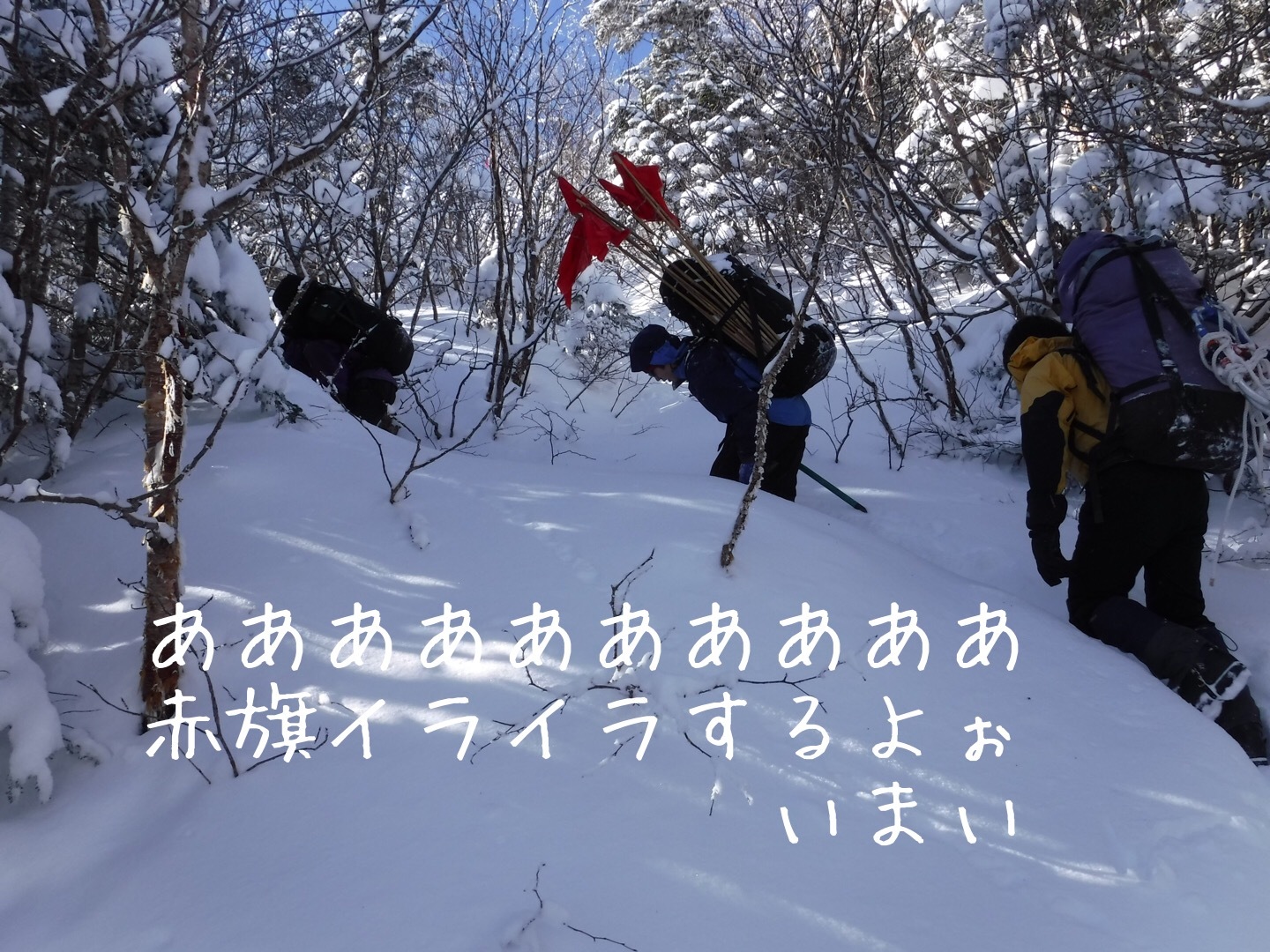 木曽の方の駒ケ岳から。_d0237801_14591839.jpeg