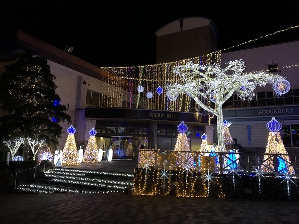 杉乃井ホテル イルミネーション（別府市観海寺）・１_f0364707_00005547.jpg