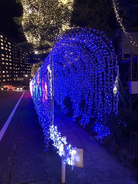 杉乃井ホテル イルミネーション（別府市観海寺）・１_f0364707_00032249.jpg