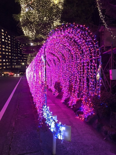 杉乃井ホテル イルミネーション（別府市観海寺）・１_f0364707_00033233.jpg