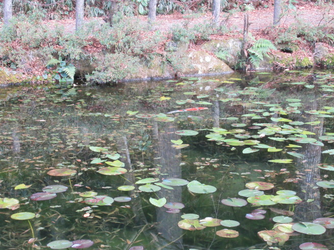 f0297809_22230058.jpg
