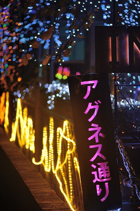 アグネスイルミネーション@平安女学院_f0032011_20201055.jpg