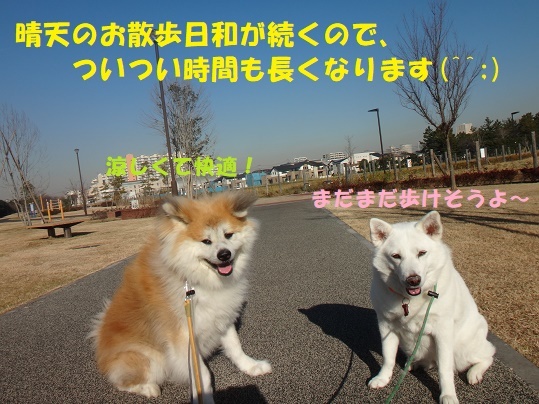 f0121712_22260692.jpg