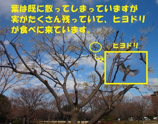 f0121712_22465507.jpg