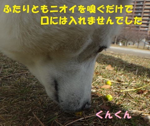 f0121712_22595292.jpg