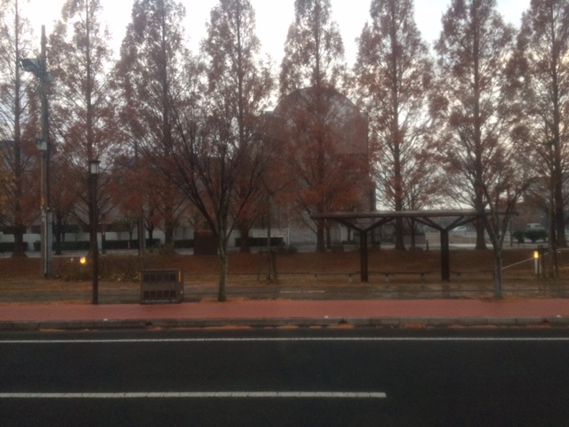 f0011022_6583797.jpg