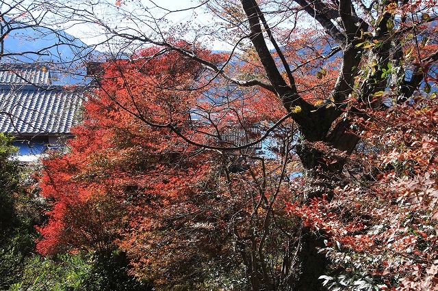 e0321325_16433824.jpg