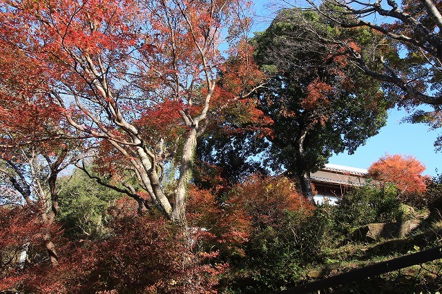 e0321325_16452801.jpg