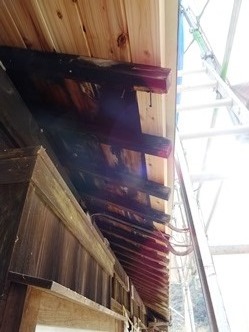 f0213825_08583750.jpg