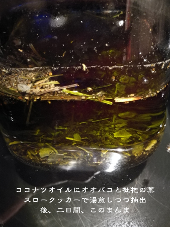 d0042827_17334170.jpg