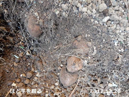 e0033229_1836576.jpg