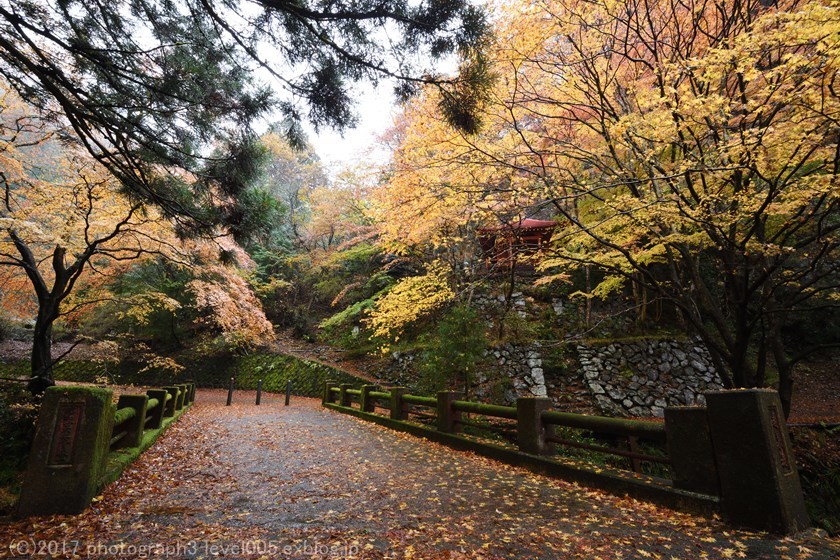 蓬莱山神社 紅葉 Photograph3