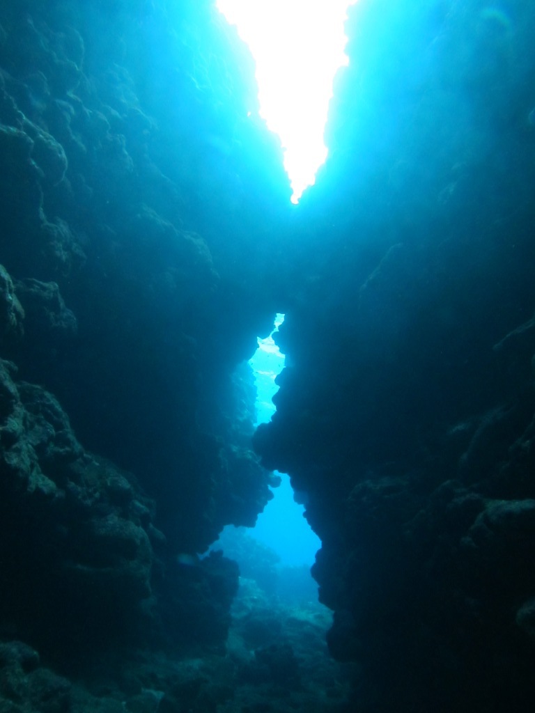 a0189838_18143802.jpg