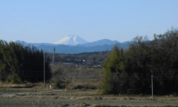 e0371039_6594016.gif
