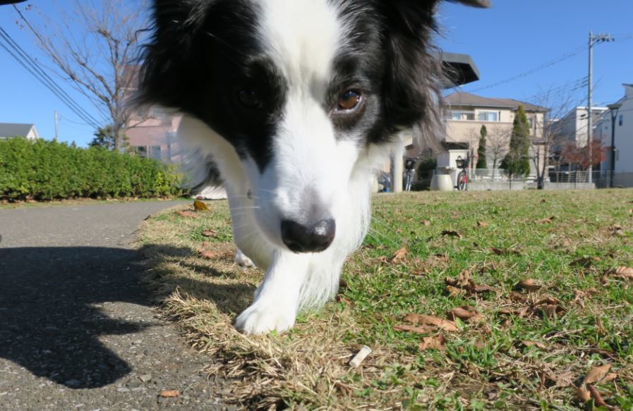 c0147241_18081065.jpg