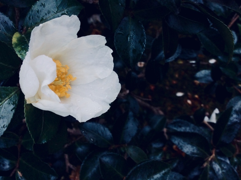f0389753_00274216.jpeg