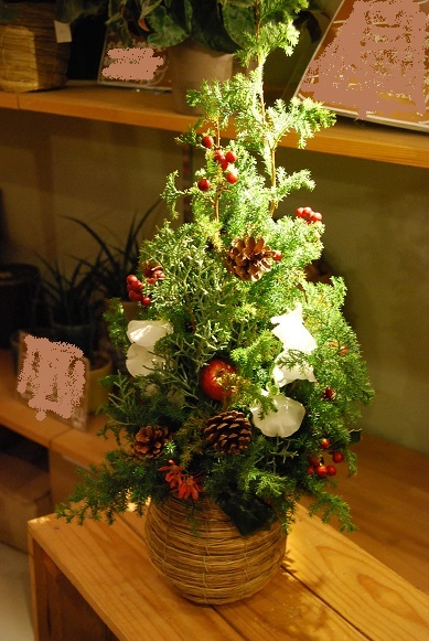 木花12月フラワーレッスンのご報告_a0201358_19054674.jpg