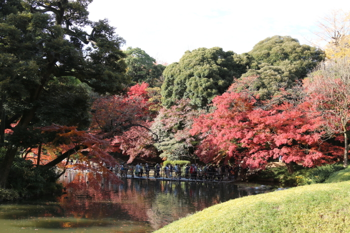 小石川後楽園へ～秋の紅葉狩りへ　５_d0152261_11531433.jpg