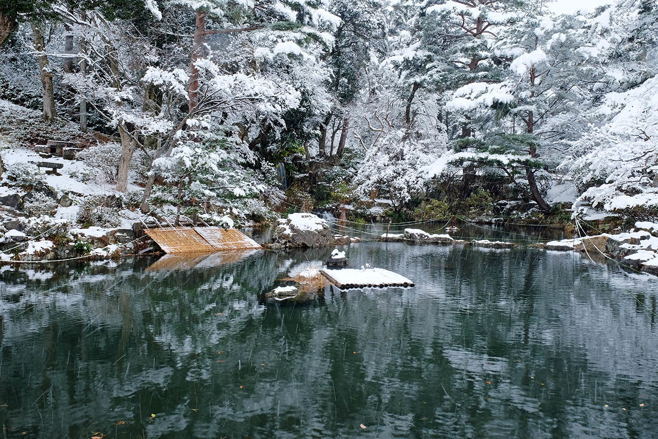 雪の花３（弥彦公園）_e0096372_09394196.jpg