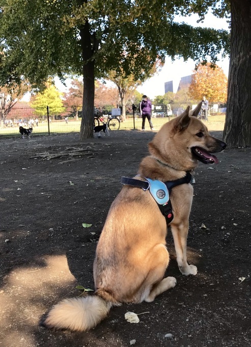 c0364176_13093660.jpeg