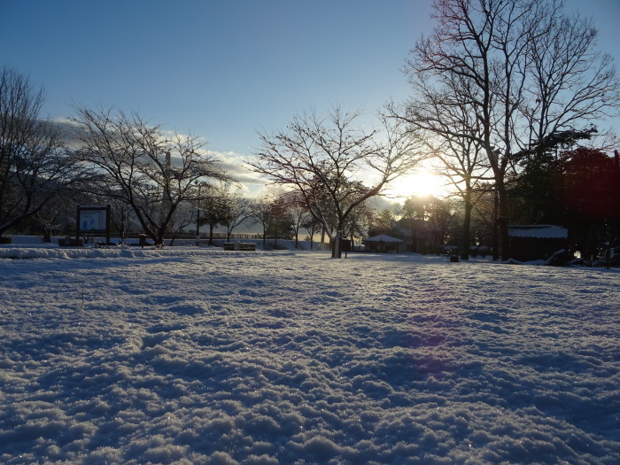 雪晴れ　知内川裾の朝        ２０１７．１２．１８_c0153880_21510564.jpg