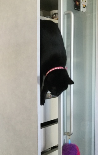 怒られました。_e0358096_16445665.jpeg