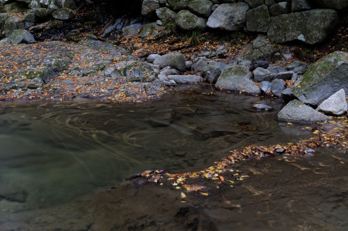 e0366896_23351928.jpg