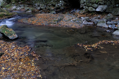 e0366896_23352516.jpg