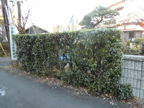 c0108198_17243887.jpg