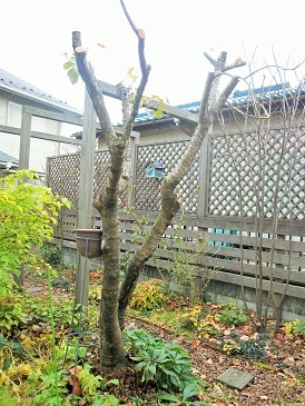 c0117898_14383671.jpg