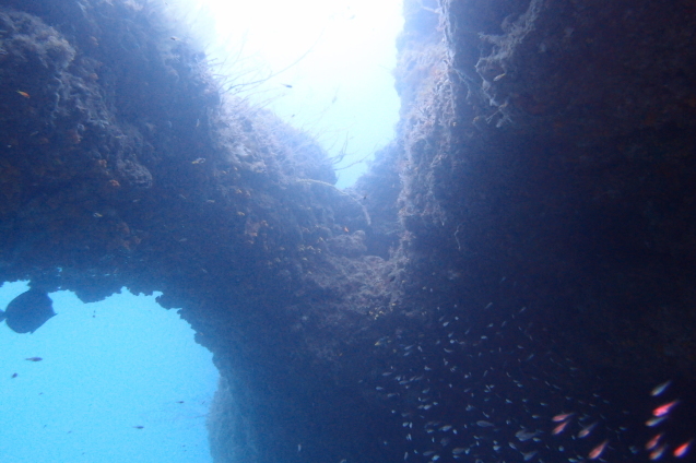 e0115199_12513934.jpg