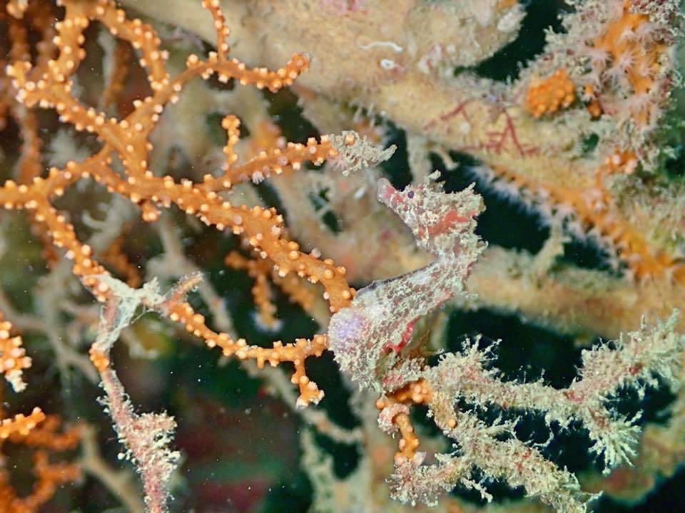 e0115199_18551512.jpg