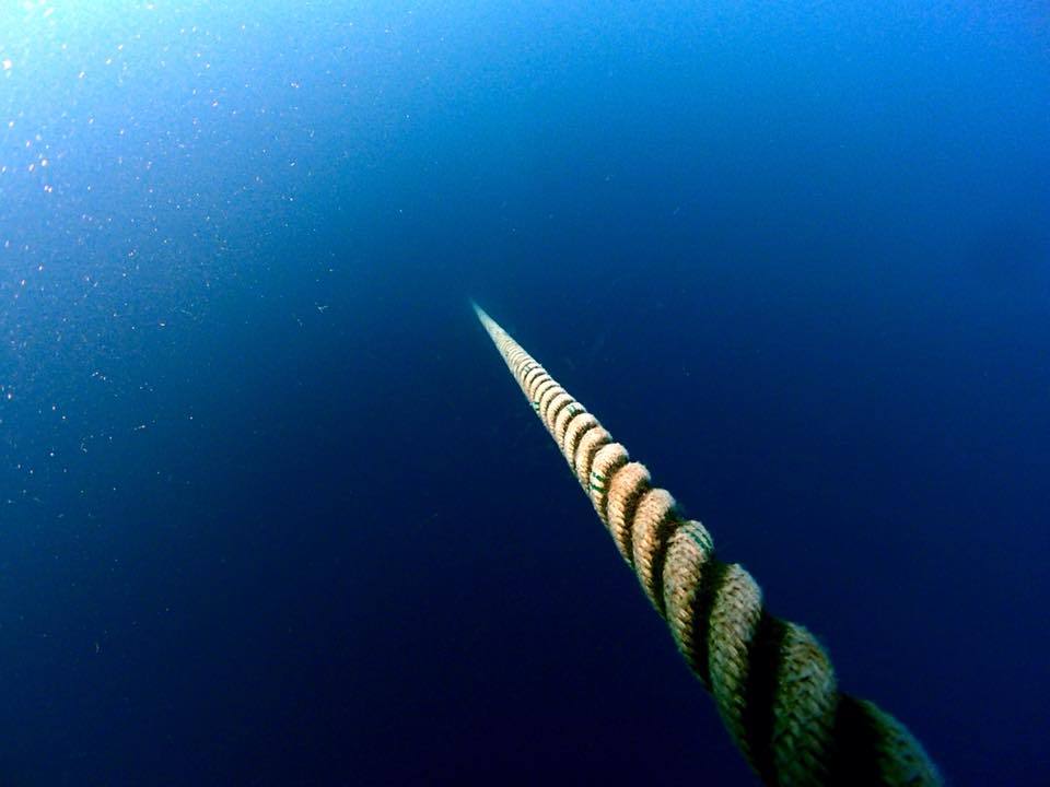 e0115199_18554611.jpg