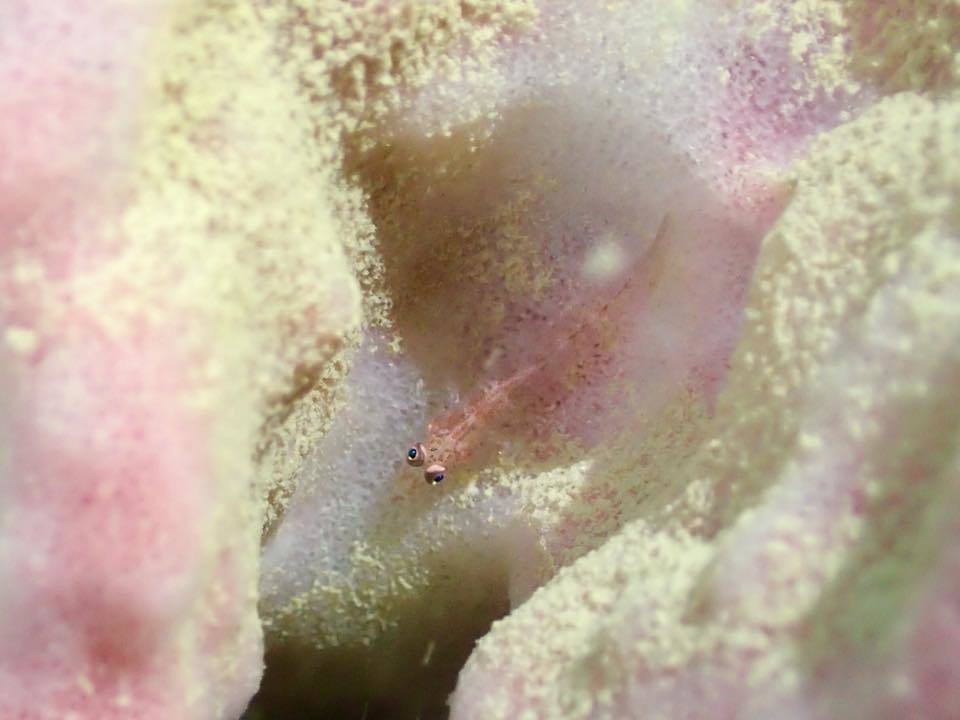 e0115199_18555091.jpg