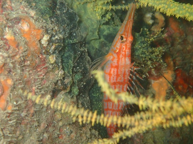 e0115199_18560149.jpg