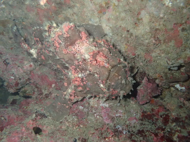 e0115199_19201186.jpg