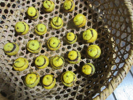 a0203003_21262649.jpg