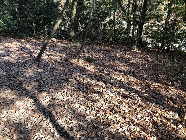 f0364707_18061567.jpg