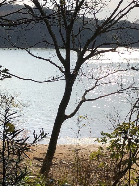 f0364707_18071927.jpg