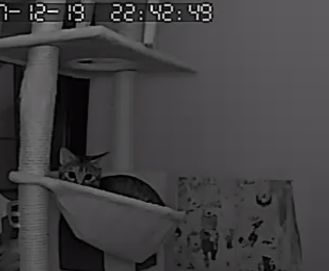 d0358409_01245600.jpg