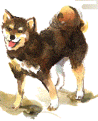f0231709_16360999.gif